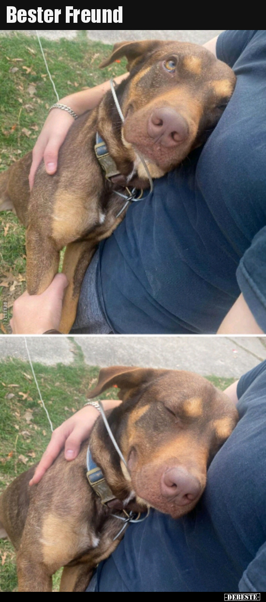 Bester Freund..