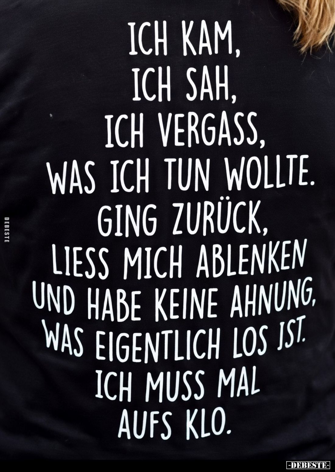 Ich kam,
ich sah,
ich vergaß,
was ich tun wollte.

Ging zurück,
ließ mich ablenken
und habe keine Ahnung,
was eigentl...