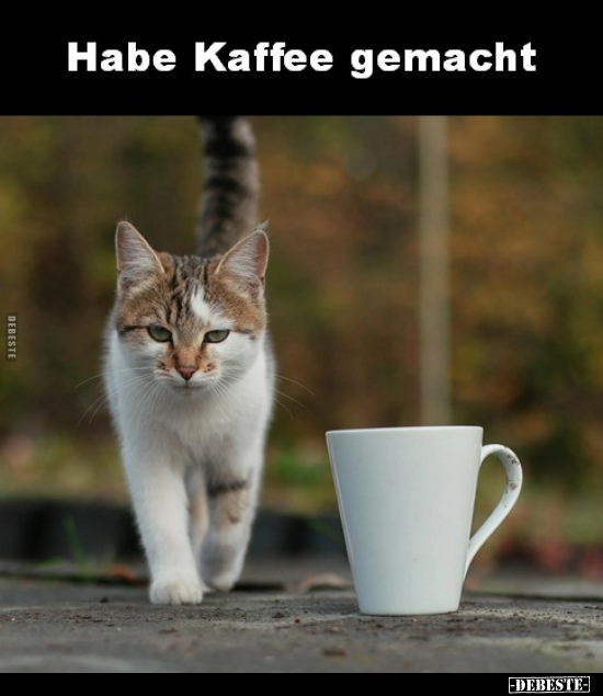 Habe Kaffee gemacht... - Lustige Bilder | DEBESTE.de