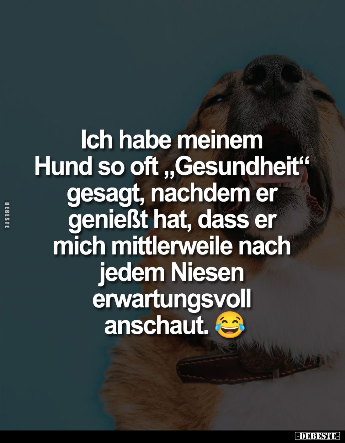 Ich habe meinem Hund so oft "Gesundheit" gesagt, nachdem er genießt hat, dass er mich mittlerweile nach jedem Niese...
