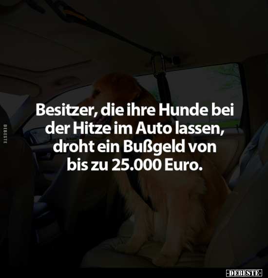 Besitzer, die ihre Hunde bei der Hitze im Auto lassen.. - Lustige Bilder | DEBESTE.de