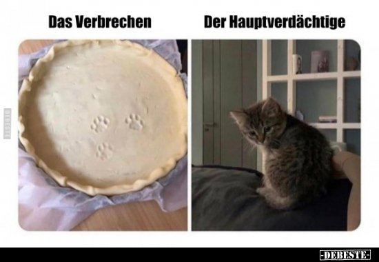 Das Verbrechen / Der Hauptverdächtige.. - Lustige Bilder | DEBESTE.de