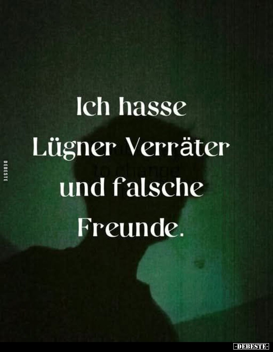 Ich hasse Lügner Verräter und falsche Freunde.
