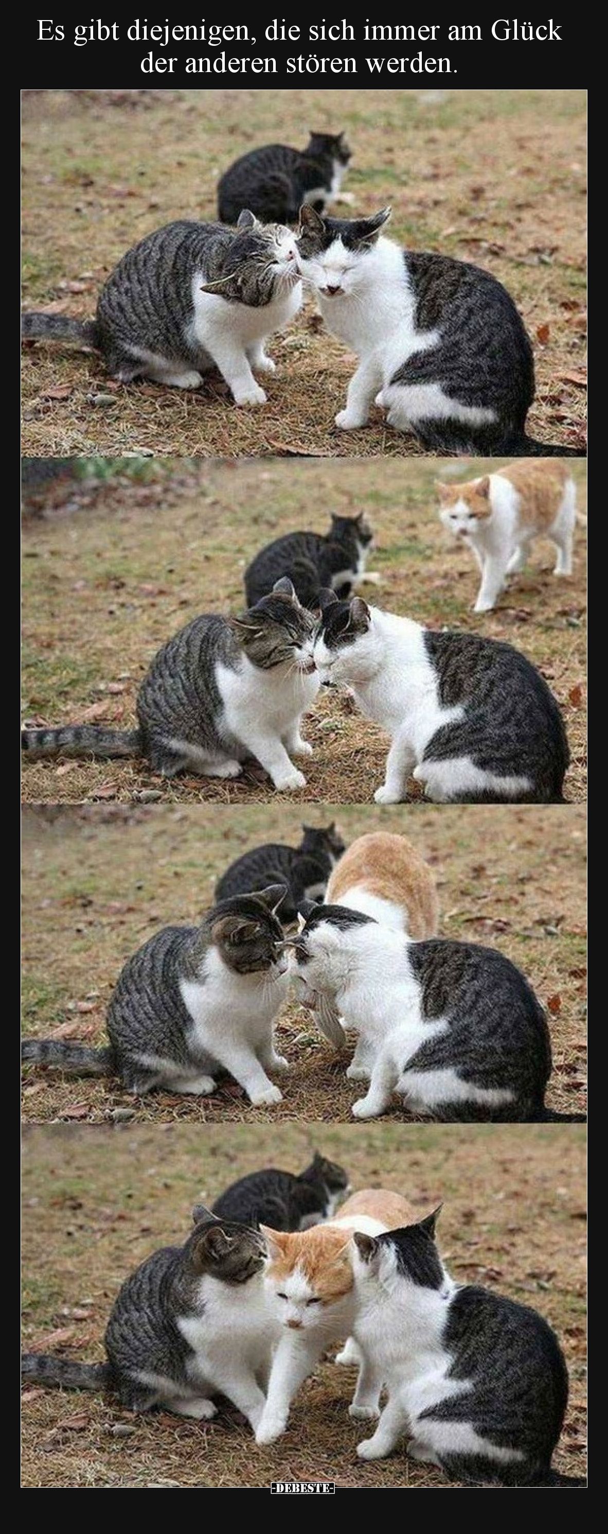 Es gibt diejenigen, die sich immer am Glück der anderen stören werden.