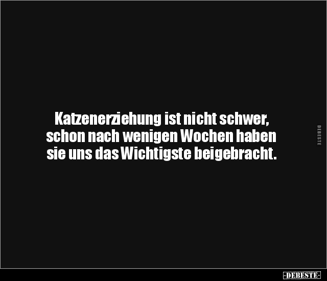 Katzenerziehung ist nicht schwer, schon nach wenigen.. - Lustige Bilder | DEBESTE.de