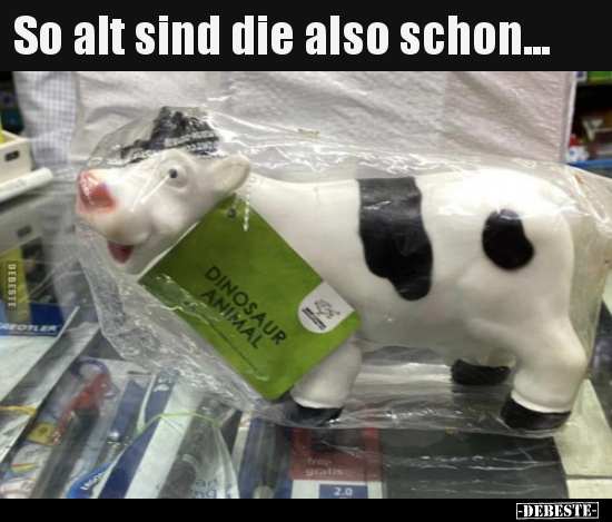 So alt sind die also schon...