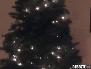 katzen gifs lustig, weihnachtsbaum gifs