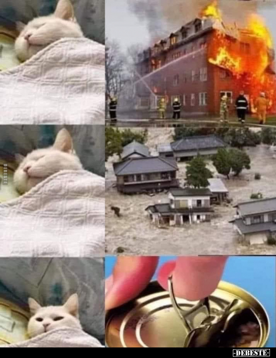  - Lustige Bilder | DEBESTE.de