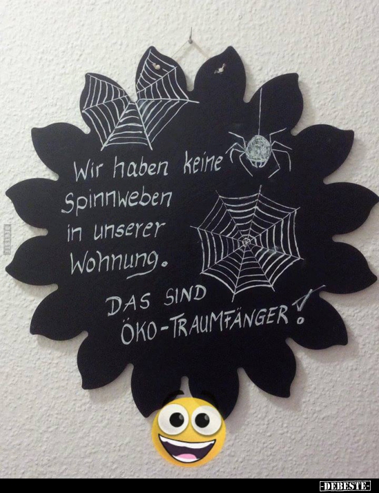 Wir haben keine Spinnweben in unserer Wohnung.. - Lustige Bilder | DEBESTE.de