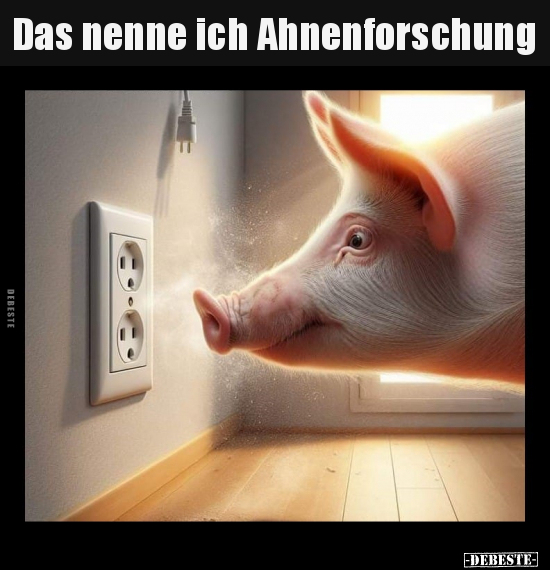 Das nenne ich Ahnenforschung.. - Lustige Bilder | DEBESTE.de
