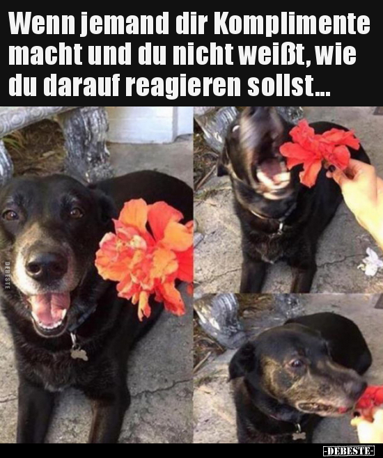 Wenn jemand dir Komplimente macht und du nicht weißt, wie..
