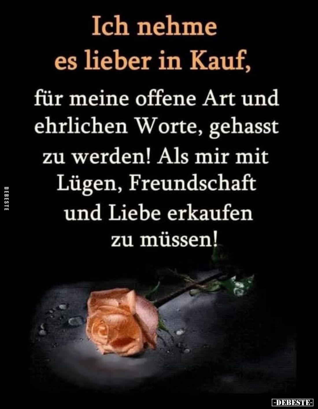 Ich nehme es lieber in Kauf, für meine offene Art und ehrlichen Worte, gehasst zu werden! Als mir mit Lügen, Freundschaft und...