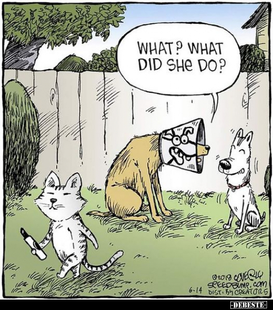 WHAT? WHAT DID SHE DO?