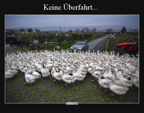 Keine Überfahrt