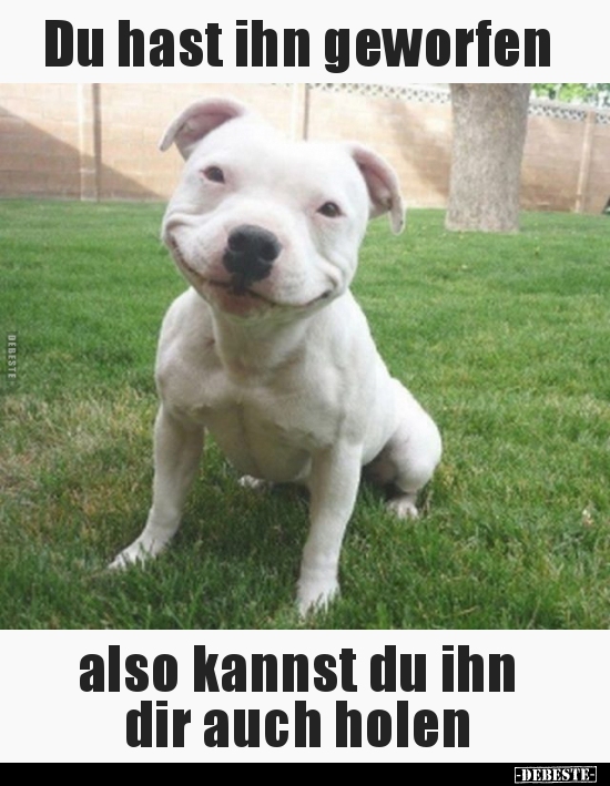 Du hast ihn geworfen, also kannst du ihn dir auch holen..