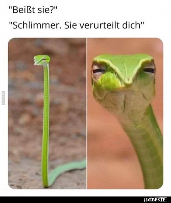 "Beißt sie?" "Schlimmer. Sie verurteilt dich"