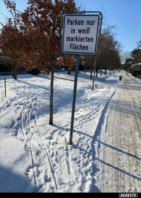 Parken nur in Weiß markierten Flächen... - Lustige Bilder | DEBESTE.de