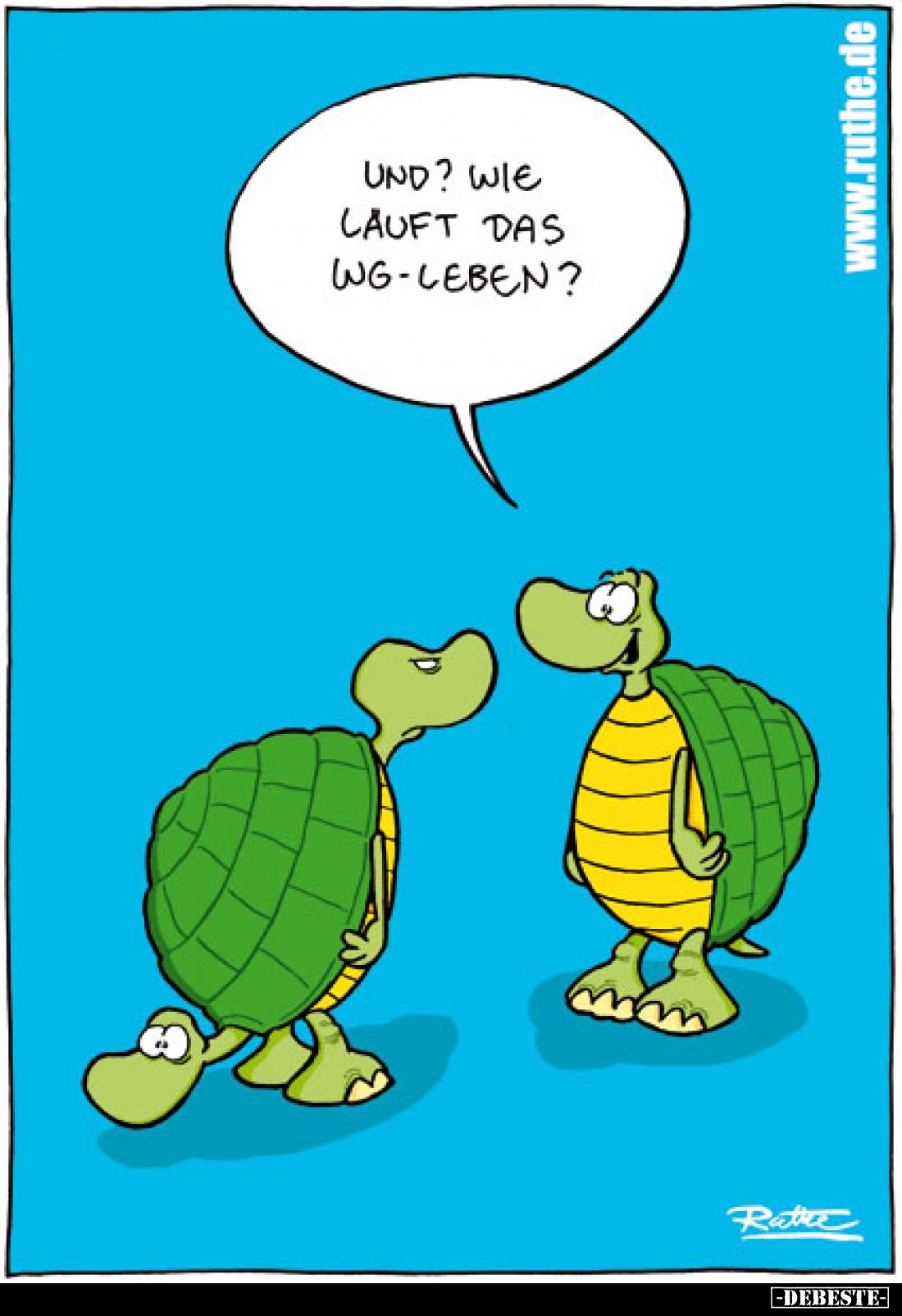 Und? Wie lauft das WG-Leben?