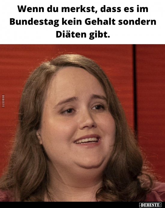 Wenn du merkst, dass es im Bundestag kein Gehalt sondern.. - Lustige Bilder | DEBESTE.de