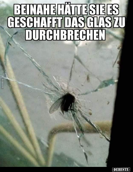 Beinahe hätte sie geschafft das Glas zu durchbrechen.. - Lustige Bilder | DEBESTE.de