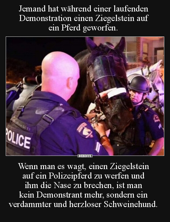 Jemand hat während einer laufenden Demonstration einen.. - Lustige Bilder | DEBESTE.de