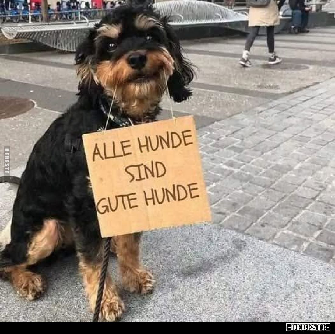 Alle Hunde sind gute Hunde.