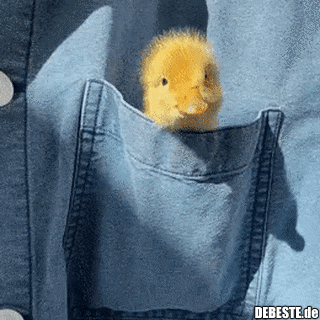  - Lustige Bilder | DEBESTE.de