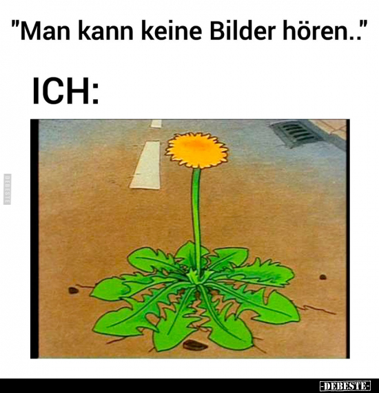 Man kann keine Bilder hören... - Lustige Bilder | DEBESTE.de