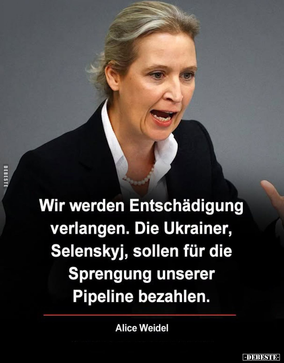 Wir werden Entschädigung verlangen. Die Ukrainer, Selenskyj, sollen für die Sprengung unserer Pipeline bezahlen.