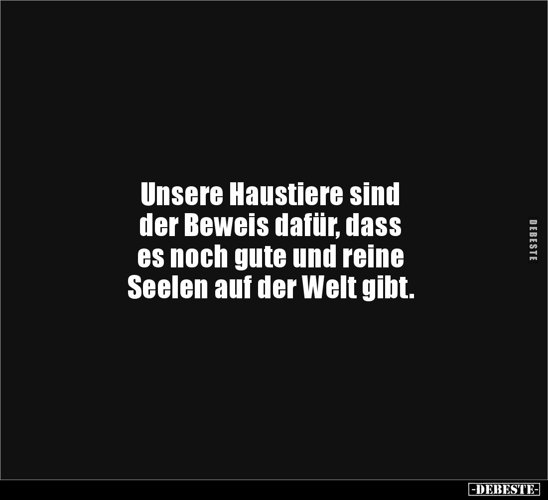 Unsere Haustiere sind 
der Beweis dafür, dass 
es noch gute und reine 
Seelen auf der Welt gibt.