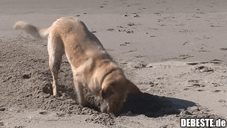 Ich auf der Suche nach einer Motivation um weiter zu leben..