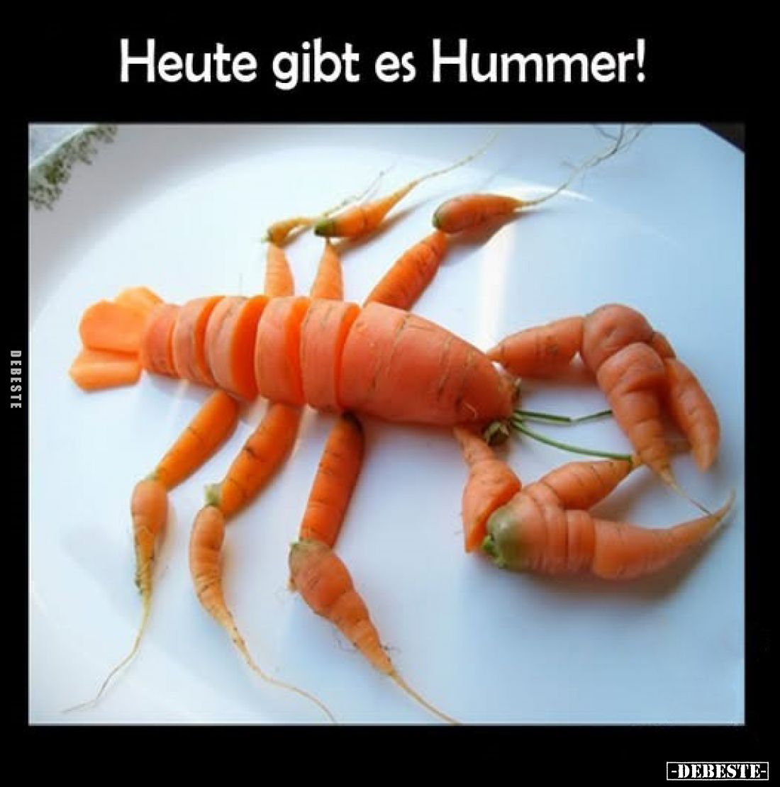 Heute gibt es Hummer!