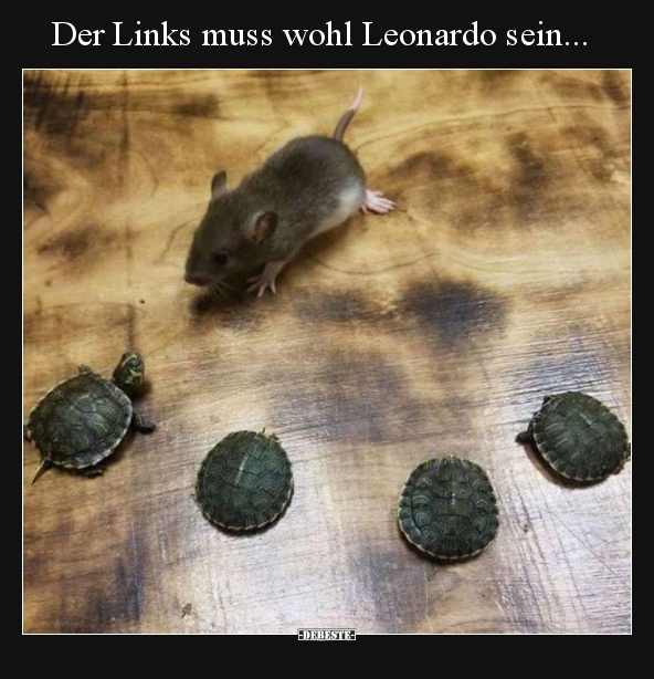 Der Links muss wohl Leonardo sein... - Lustige Bilder | DEBESTE.de