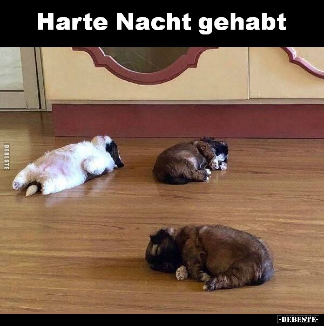 Harte Nacht gehabt.