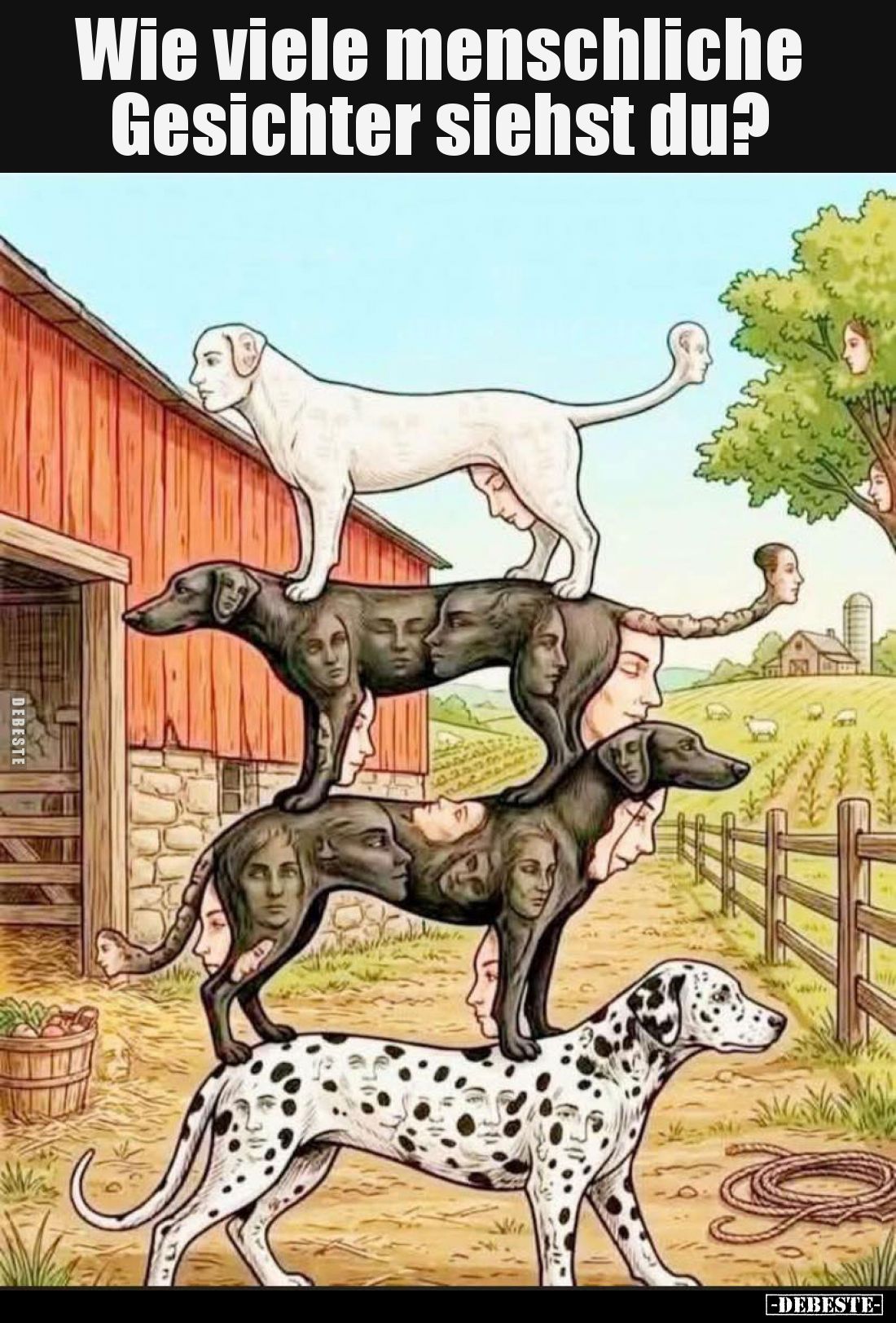 Wie viele menschliche Gesichter siehst du?