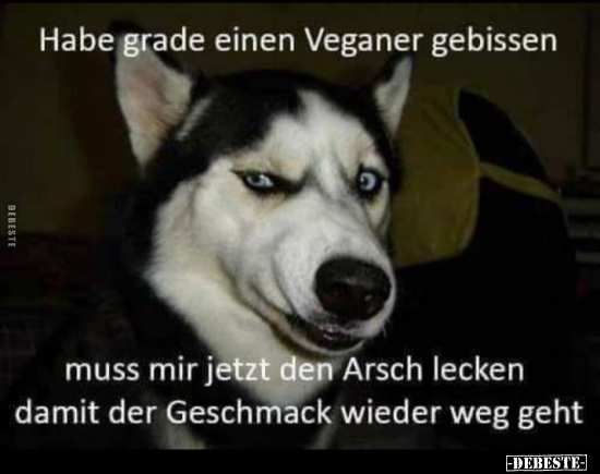 Habe grade einen Veganer gebissen.. - Lustige Bilder | DEBESTE.de