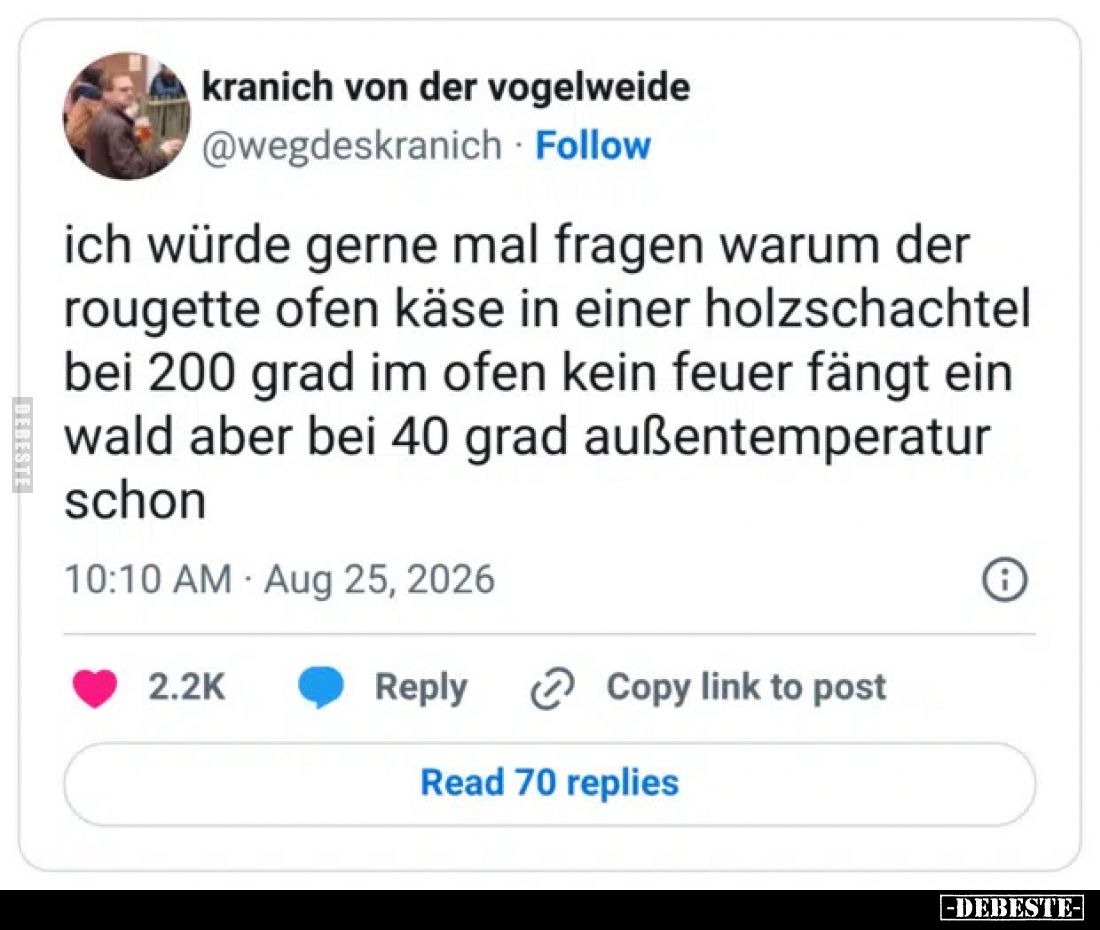 Ich würde gerne mal fragen, warum der Rougette Ofenkäse in einer Holzschachtel bei 200 Grad im Ofen kein Feuer fängt, ein Wal...