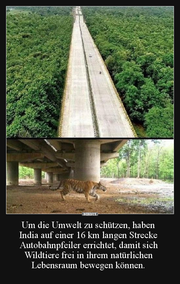 Um die Umwelt zu schützen.. - Lustige Bilder | DEBESTE.de