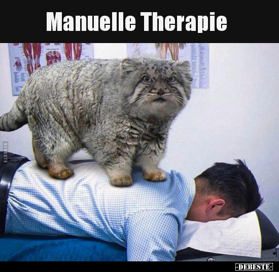 Manuelle Therapie.. - Lustige Bilder | DEBESTE.de