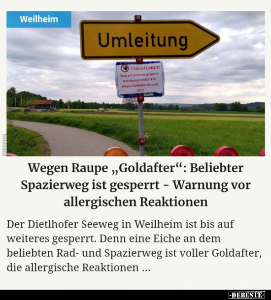 Wegen Raupe "Goldafter": Beliebter Spazierweg ist gesperrt.. - Lustige Bilder | DEBESTE.de