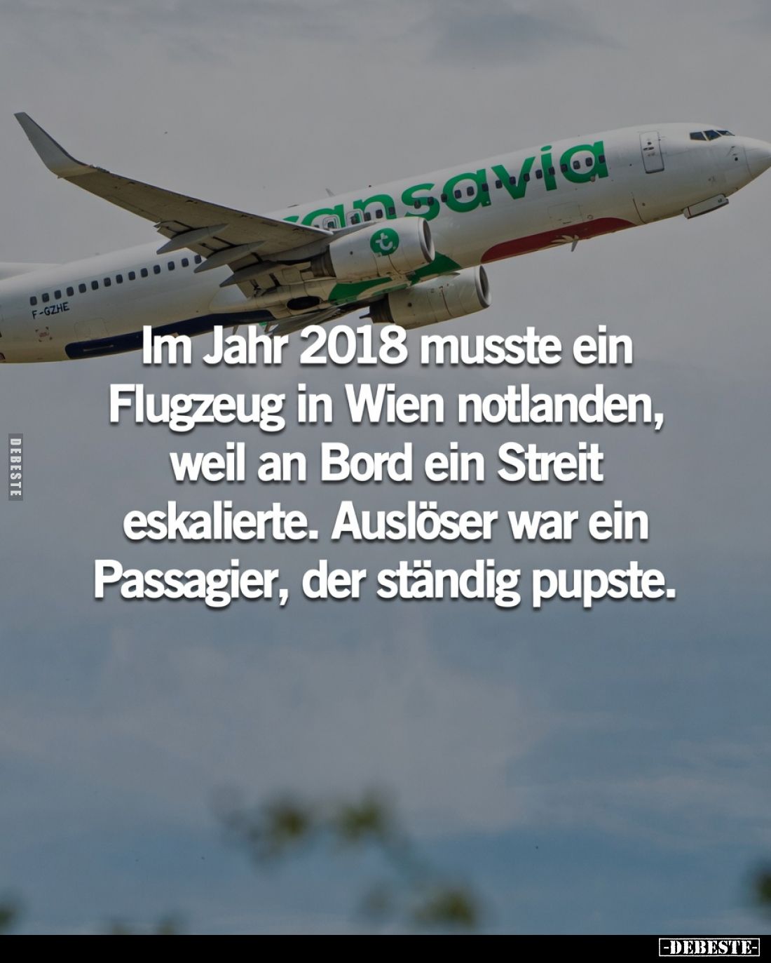 Im Jahr 2018 musste ein Flugzeug in Wien notlanden, weil an Bord ein Streit eskalierte. Auslöser war ein Passagier, der ständ...