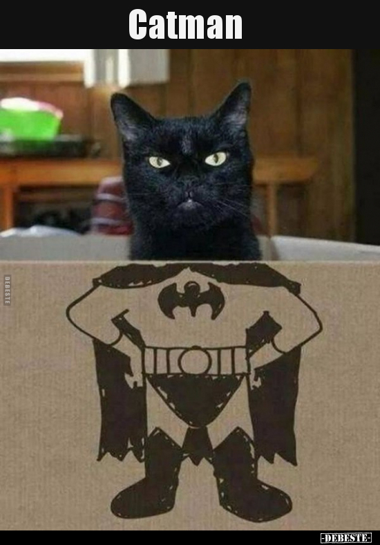 Catman..