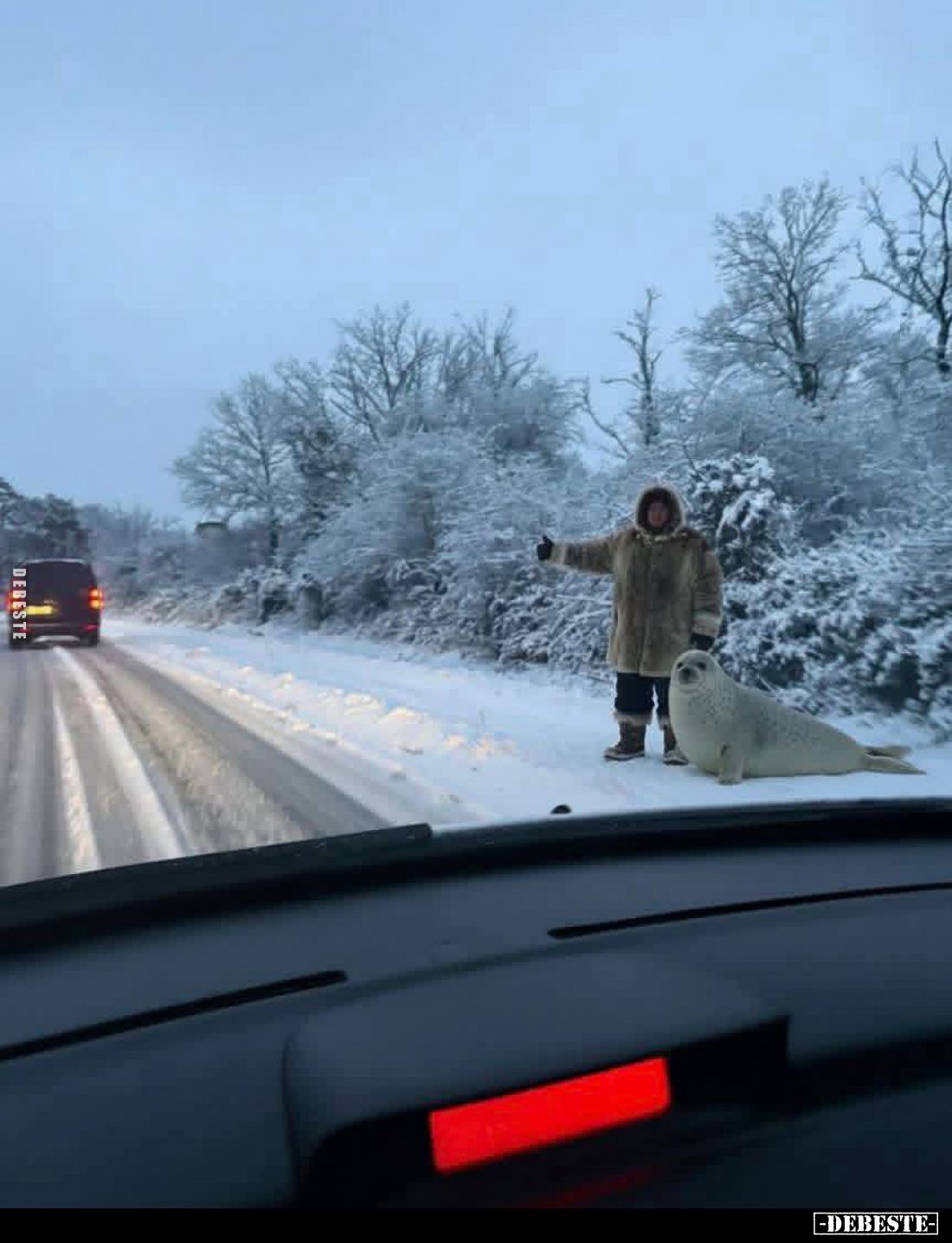  - Lustige Bilder | DEBESTE.de