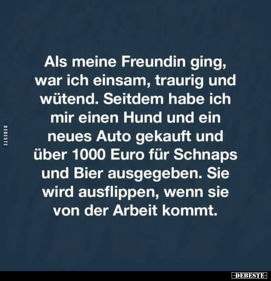 Als meine Freundin ging, war ich einsam, traurig und wütend. Seitdem habe ich mir einen Hund und ein neues Auto gekauft und ü...