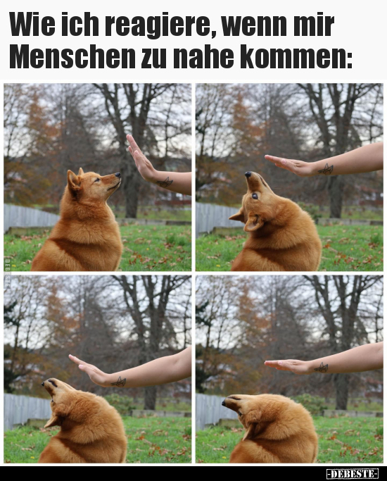 Wie ich reagiere, wenn mir Menschen zu nahe kommen.. - Lustige Bilder | DEBESTE.de