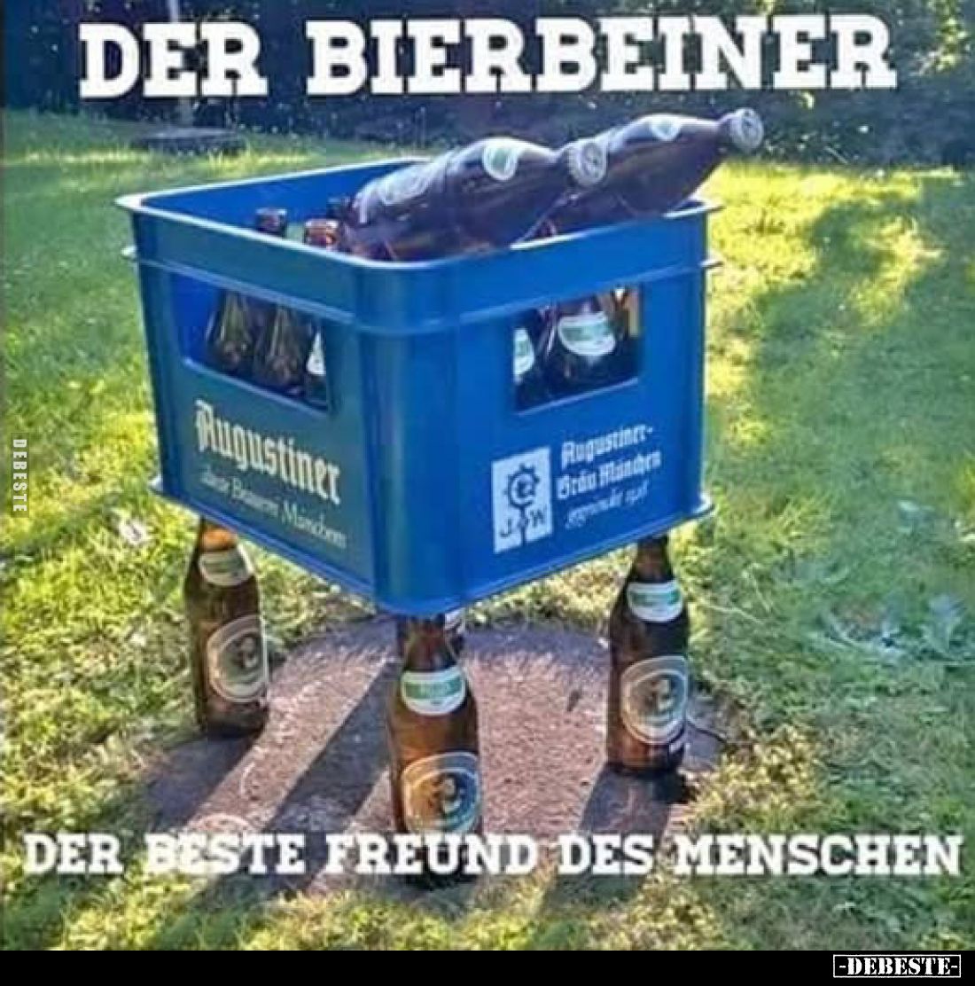 Bild