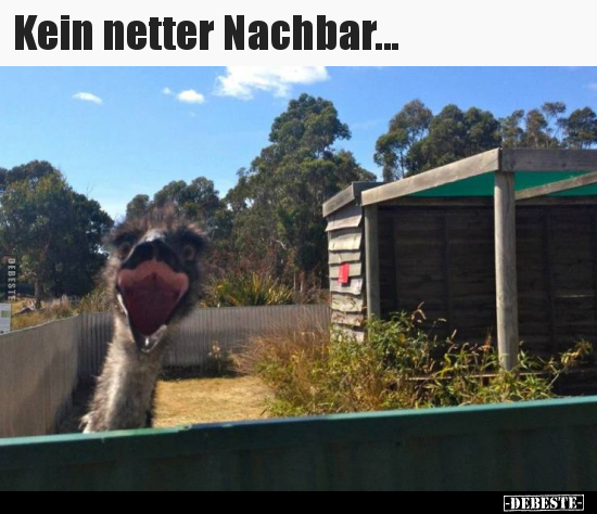 Kein netter Nachbar...