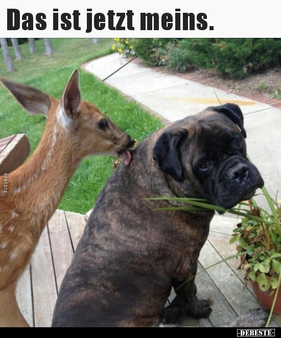 Das ist jetzt meins...