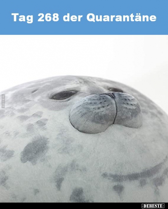 Tag 268 der Quarantäne..