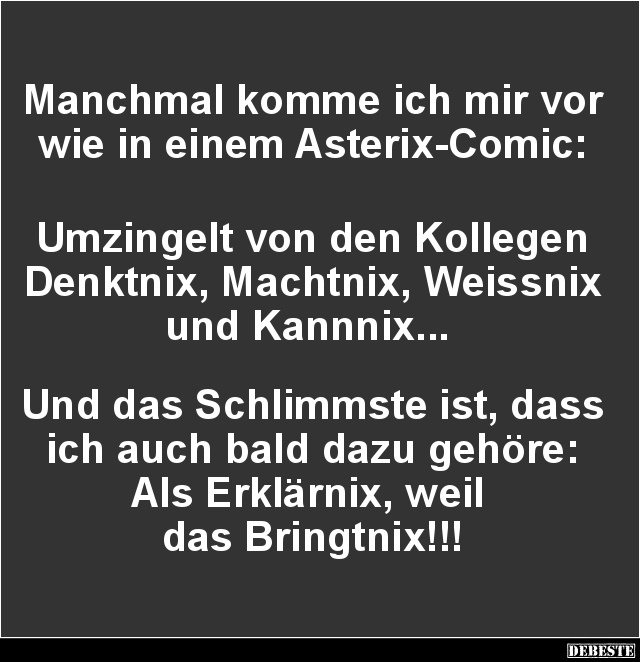 Manchmal komme ich mir vor wie in einem Asterix-Comic.. - Lustige Bilder | DEBESTE.de